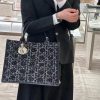 DIOR BOOK TOTE 24 BAG
