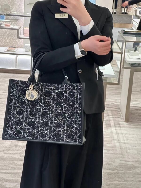 DIOR BOOK TOTE 24 BAG
