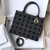 DIOR BOOK TOTE 24 BAG
