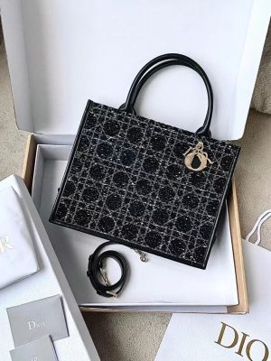 DIOR BOOK TOTE 24 BAG